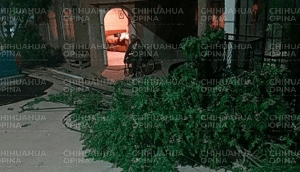 Tráiler derriba tres postes y deja sin luz en colonia 20 Aniversario; responsable&nbsp;huye.